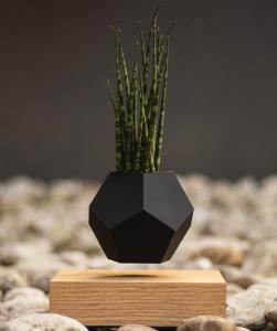Quality Levitating Plant Pot &amp; Base ,magnetic floating air bonsai flowerpot for gift decoration wholesale