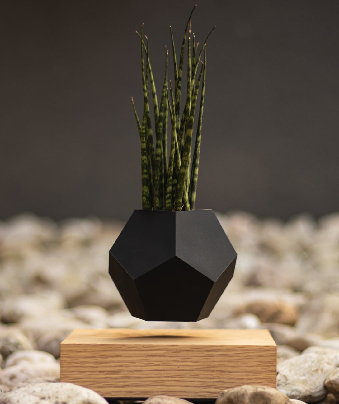 Creative Design Levitation Bonsai ,floating plant pot ,magnetic levitation platform base