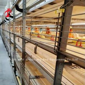 Quality BEST Galvanized Automatic H Type Chicken Farm Broiler Cage System Adela wholesale