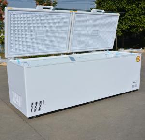 Quality Customer Country Standard Plug Large Capacity Horizontal Double Door Chest Freezer wholesale
