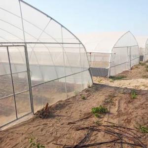 Quality Agricultural Singlespan Tunnel Plastic Film Tropical Greenhouse wholesale