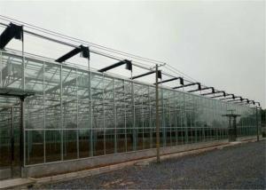 Quality High Durability Small Glass Greenhouse Simple Construction And Stable Structure wholesale