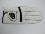 golf glove , golf gloves , glove , gloves