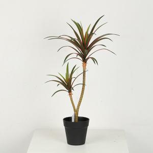 Quality 65 CM 90 CM High Simulation Artificial Dragon Tree Bonsai wholesale
