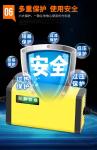 12V 15A 300W Lead Acid Battery Chargers Pulse Repair Temperature Control