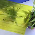 Impact Resistant and Thermal Insulating Plastic Polycarbonate embossed