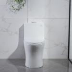 Dual Flush One Piece Elongated Toilet Matt Black S Trap