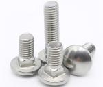 Stainless Steel Mushroom Round Head Square Neck Bolts DIN 603 Carriage Bolt