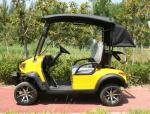 Four Seaters Luxury Golf Cart Street Legal Custom Off Road Transport Crates