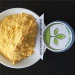 mango juice powder buy best organic dried mango uses of ?health benefits