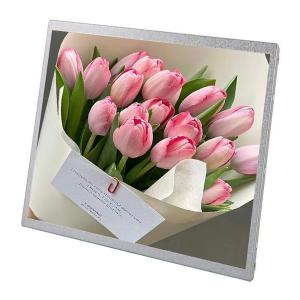 Quality 30 Pin 19 Inch Small Lcd Panel Advertising Display Sunlight Readable Lcd Module wholesale
