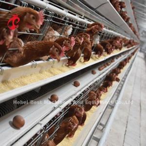 Quality Good Price Hot galvanized Layer Farming Cage System A type Sale Adela wholesale