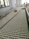 Food Grade Modular Belt Conveyor System