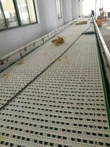 Quality Food Grade Modular Belt Conveyor System wholesale