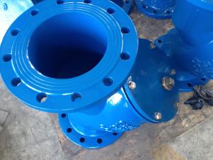 Quality ANSI y strainer flanged ends wholesale