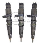 Common Rail BOSCH Diesel Fuel Injectors EA4600701387 RA4600701387 RA4720701187