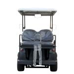 2+2 Passengers Golf Hunting Car With Max.Forward Speed Of 25km/h
