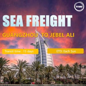 Quality The Cheapest Sea Freight Sea Consolidation From China To Jebel Ali wholesale