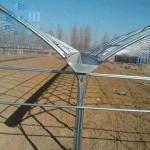 Commercial Poly Tunnel Greenhouse Automated Agriculture Multi Span Greenhouse