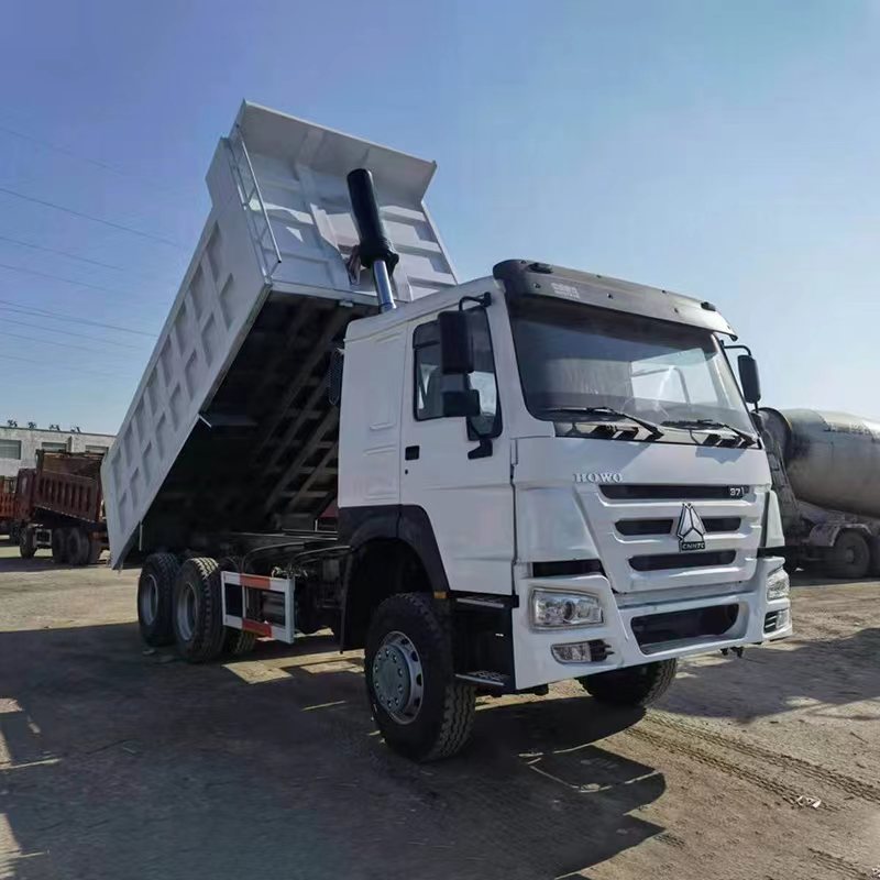 Customer's Request 371HP 6x4 Trucks Dumper Tipper Truck with ESC Electronic Stability Control System
