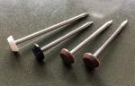 Plastic Head Stainless Steel Nail with ring shank