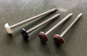 Quality Plastic Head Stainless Steel Nail with ring shank wholesale