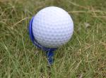 golf tee , golf tee , plastic golf tee , tees