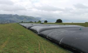 Quality Woven Geotextile Dewatering Tubes For Coastal Protection wholesale