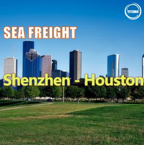 Quality DDU DDP International Sea Cargo Services From Shenzhen to Houston wholesale