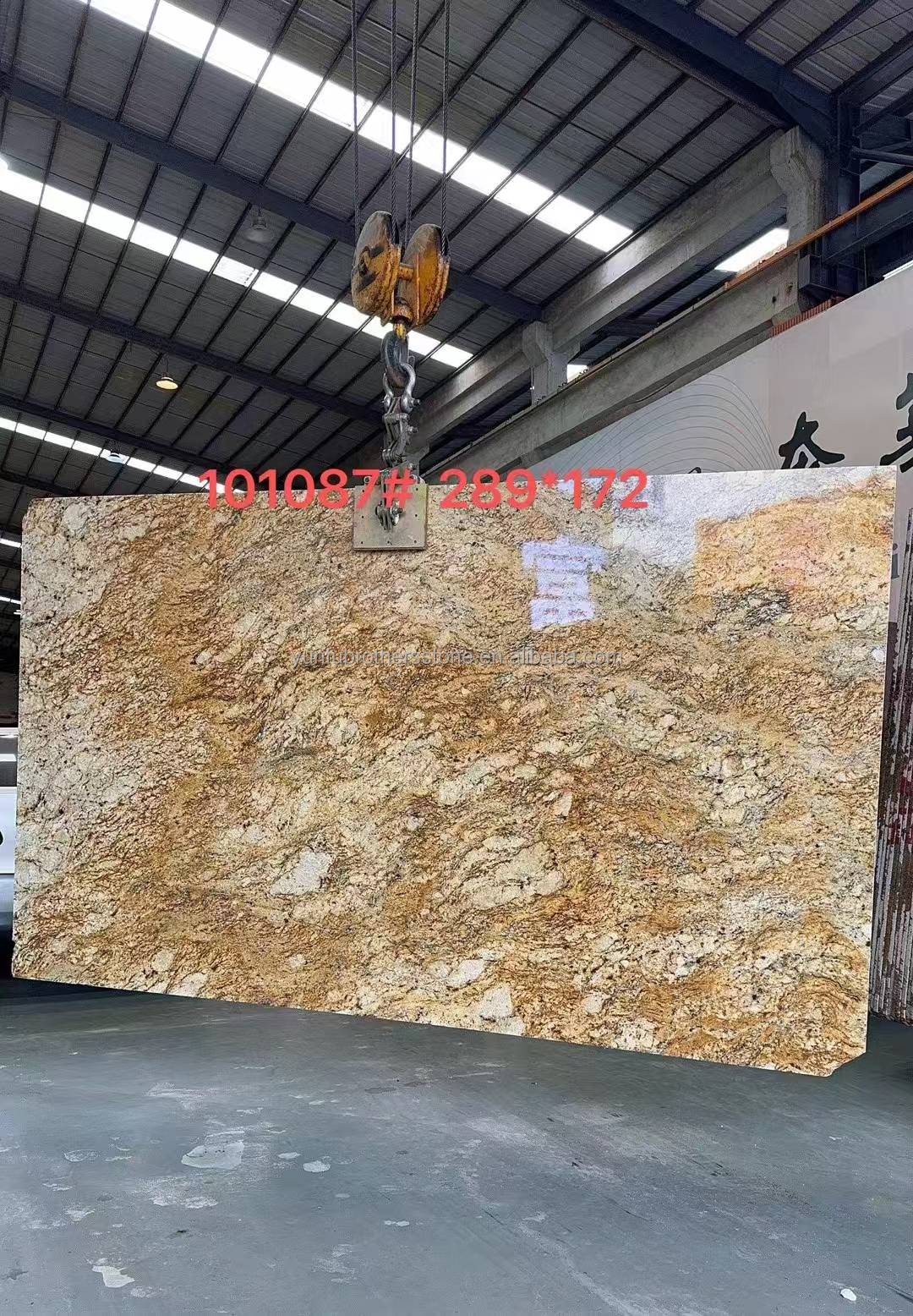 Modern Design Hotel Ornamental White Granite with Gold Veins 20mm Polished Big Slabs