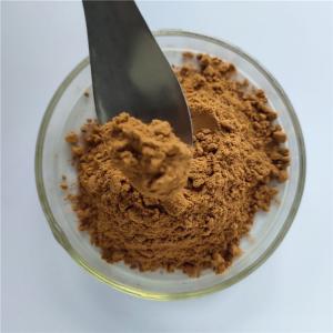 Quality Hovenia Dulcis Thunb Extract/Turnjujube Extract wholesale