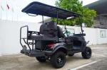 Electric 4-Seater Upgraded Golf Cart Color Customized 3D Printing Logo Source