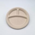 Divided Paper Biodegradable Disposable Plates 2-Compartment 3-Compartment