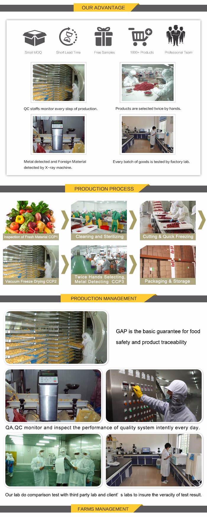 Freeze dried fruit lyophilized fruits snack dried fuji apple chips