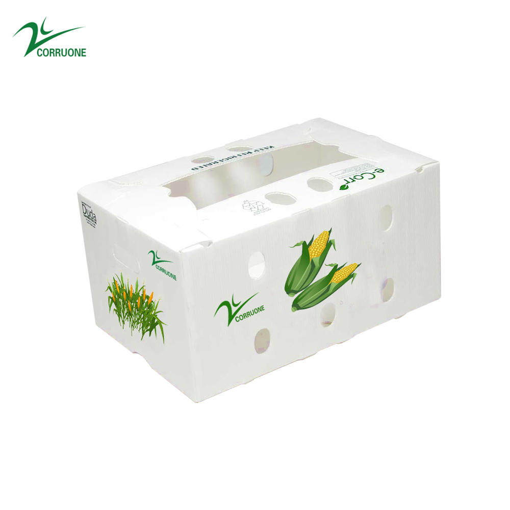 Fruit Corrugated Boxes Customizable and Sustainable Packaging Solution