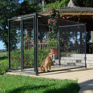 Quality Outdoor Farm Large Dog Kennel Heavy Duty Rectangle wholesale