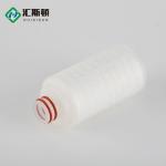 5 inch Pes Membrane Filters for Wine Filtration 0.2 Micron PP Pleated Filter