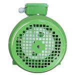 Squirrel Cage 3 Phase 4 Pole Induction Ac Motor 0.75kw For Woodworking Machinery