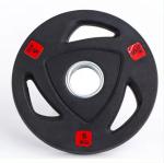 Rubber Coated Weight Plate Set of 2 for Fitness and Exercise Equipment