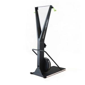 Quality Indoor Fitness Gym Ski Trainer Exercise Machine Body Building 10NW wholesale