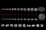 GRA Certificate Cut White Moissanite Diamond Princess Oval Pear Asscher Radiant