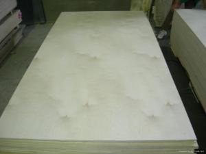 Quality Birch F/B Poplar Plywood wholesale