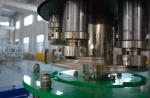 Glass Bottle 1000 BPH Carbonated Drink Filling Machine