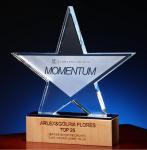 Wooden Base Custom Resin Trophies Personalized Crystal Trophy