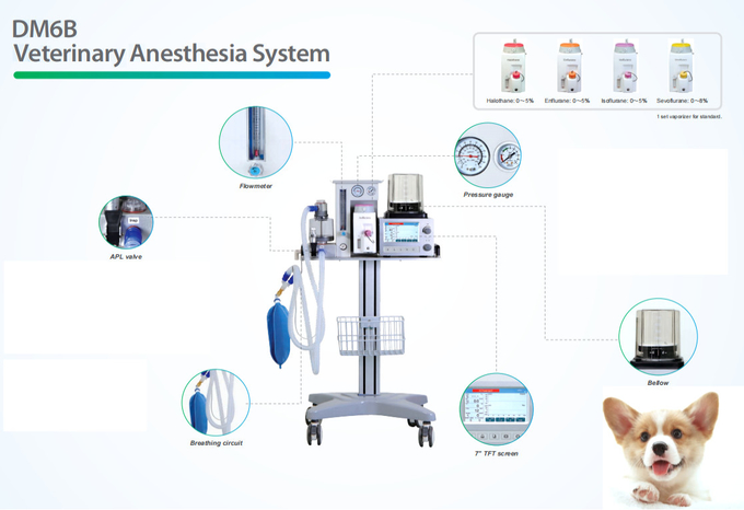 DM6B Four Casters Veterinary Anesthesia Scavenger System 0-60L/Min