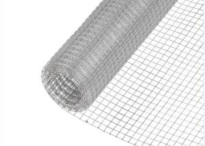 Quality 2X2 Mesh Welded Hardware Cloth Weatherproof Electro Galvanized wholesale