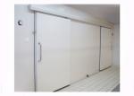 75mm 100mm 120mm 150mm 200mm Cold Storage Doors Silding Design Chemical