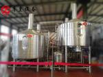 3000 Liters Stainless Steel Large Brewery Plant Industrial Beer Machine
