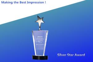 Quality sliver star crystal awards/sliver star awards/top sliver star trophies/sliver star trophy wholesale