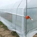 Flower Tunnel Plastic Greenhouse Vegetable Growing Single Span Greenhouse